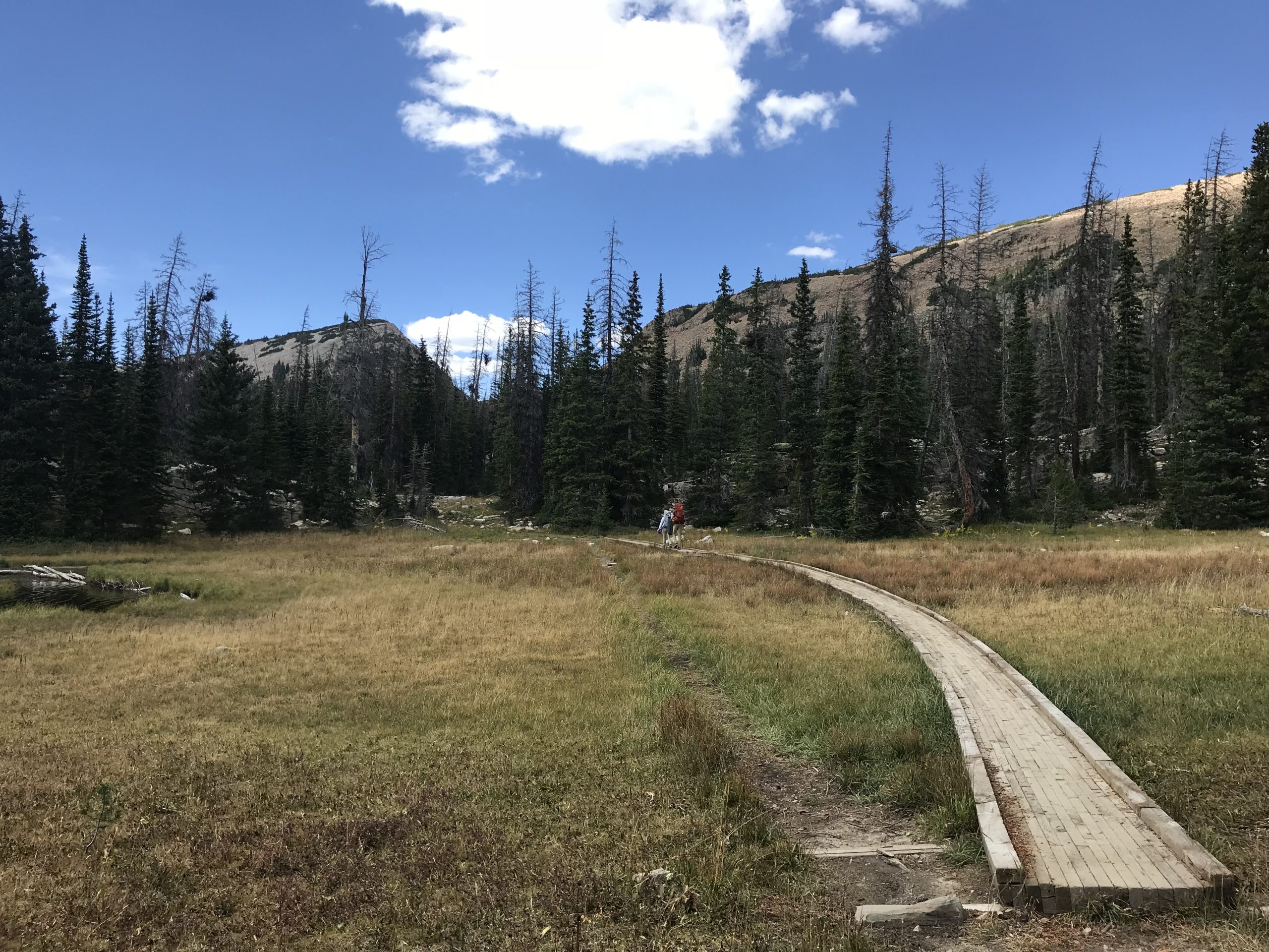 Wooden hiking path in Uintah utah by a field and pine trees